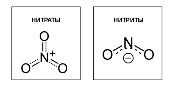 Нитраты и нитриты в питьевой воде